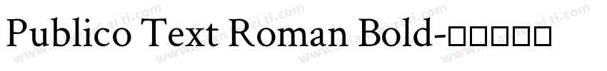 Publico Text Roman Bold字体转换